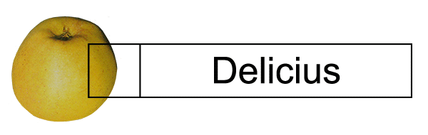 Delicius