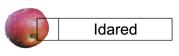 Idared